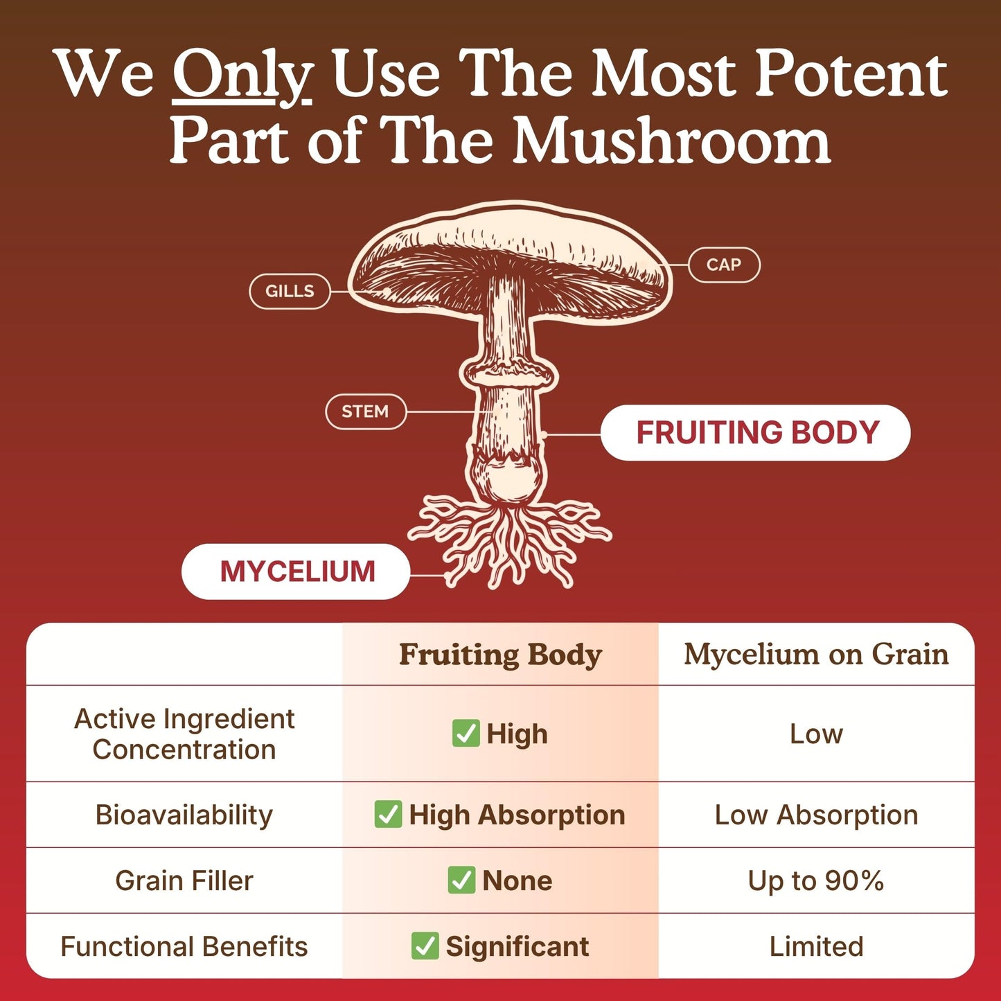 Nourishing Nutrients USDA Organic 10 Mushroom Supplement Powder, Focus and Immune Support, 4.24 oz