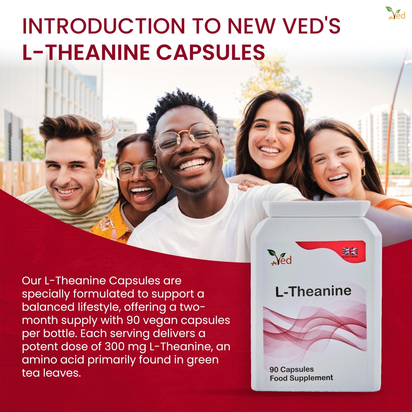 Ved L-Theanine Capsule, 90 Count