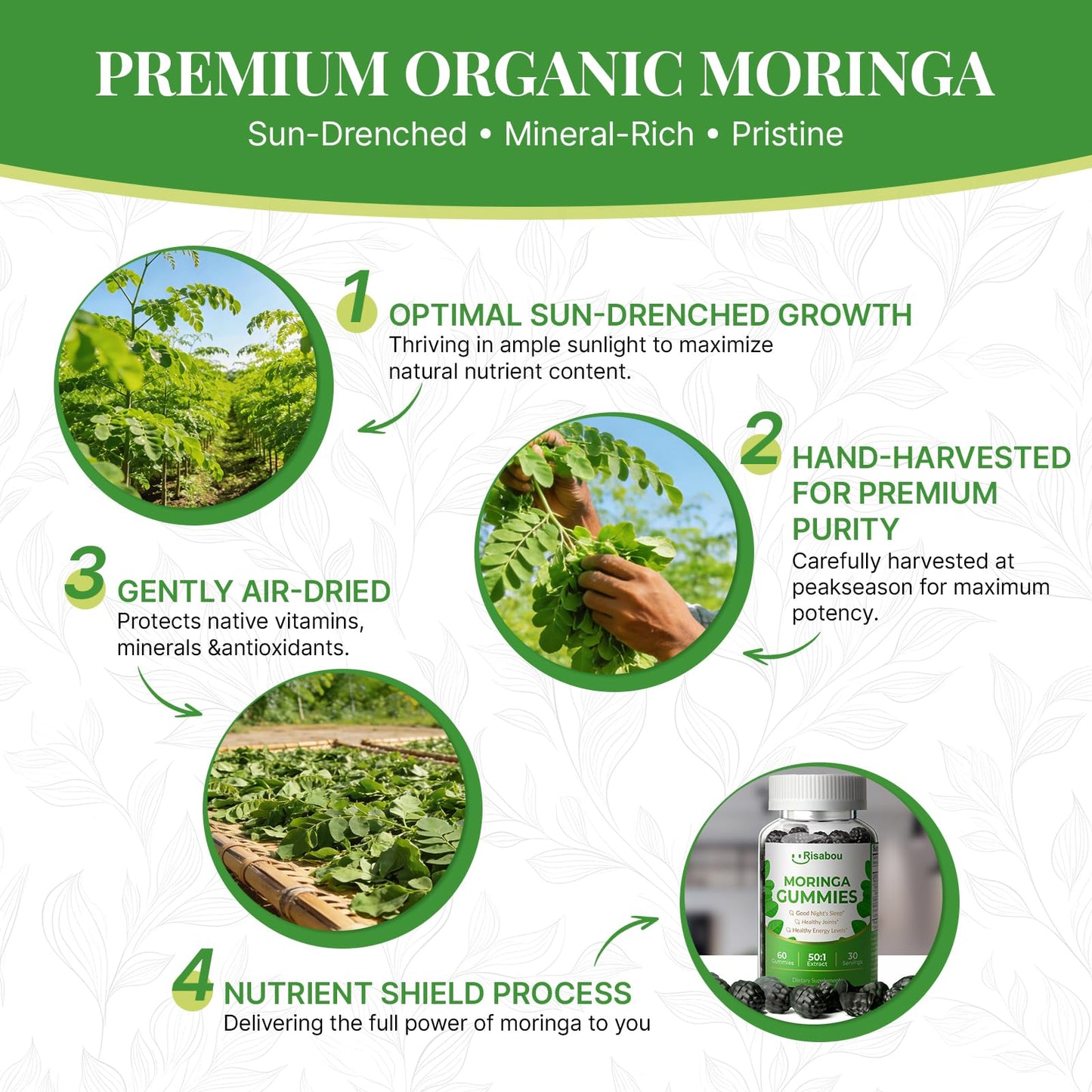 Risabou Moringa Gummies, Pure Moringa Oleifera Leaf Extract, 60 Gummies