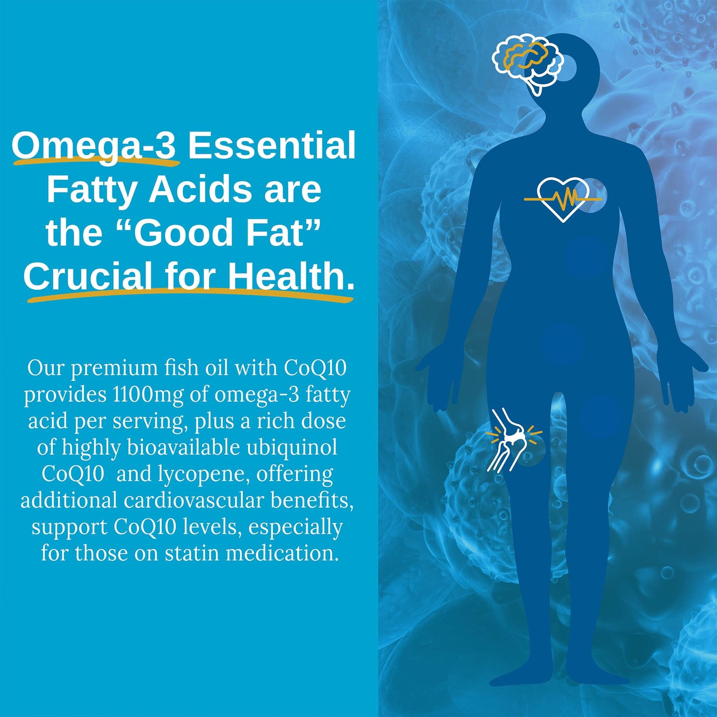 Xtendlife Omega-3 QH Fish Oil + CoQ10 Softgels 60 Count