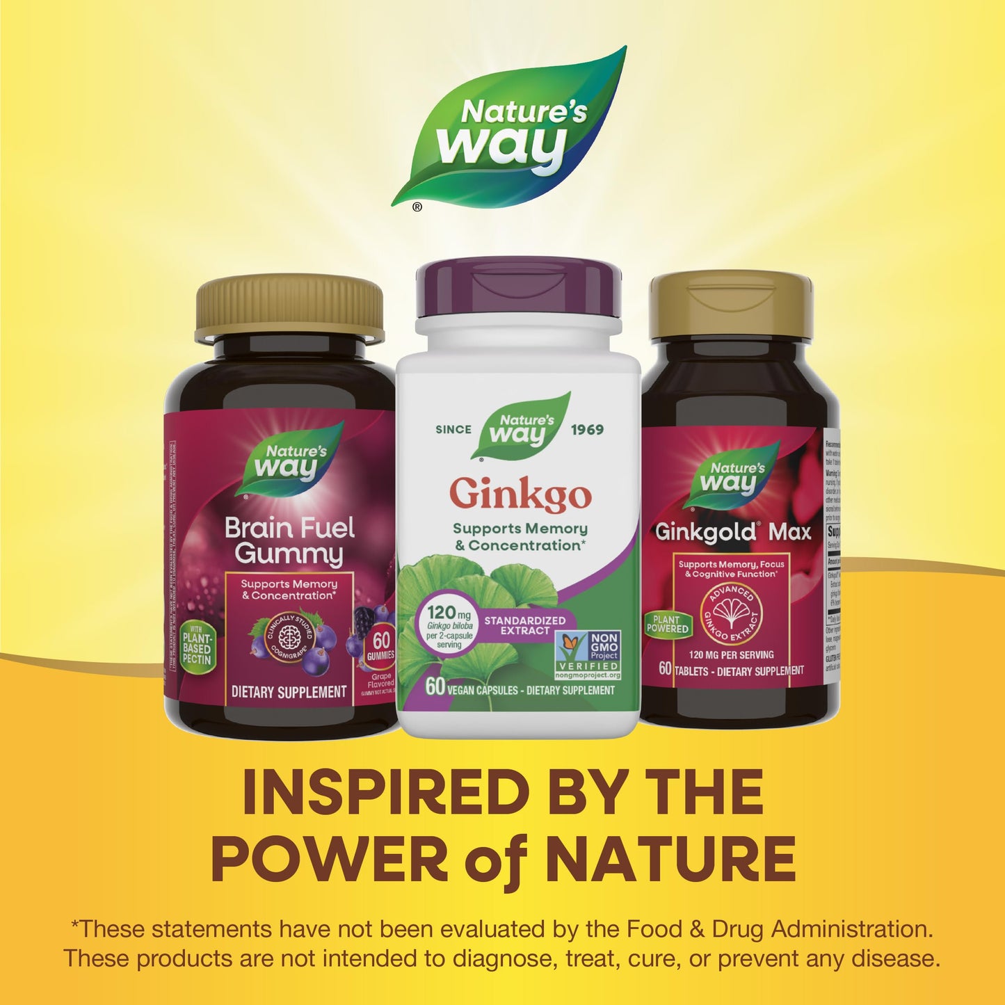 Nature's Way Ginkgo Premium Extract Capsules, 60 Capsules