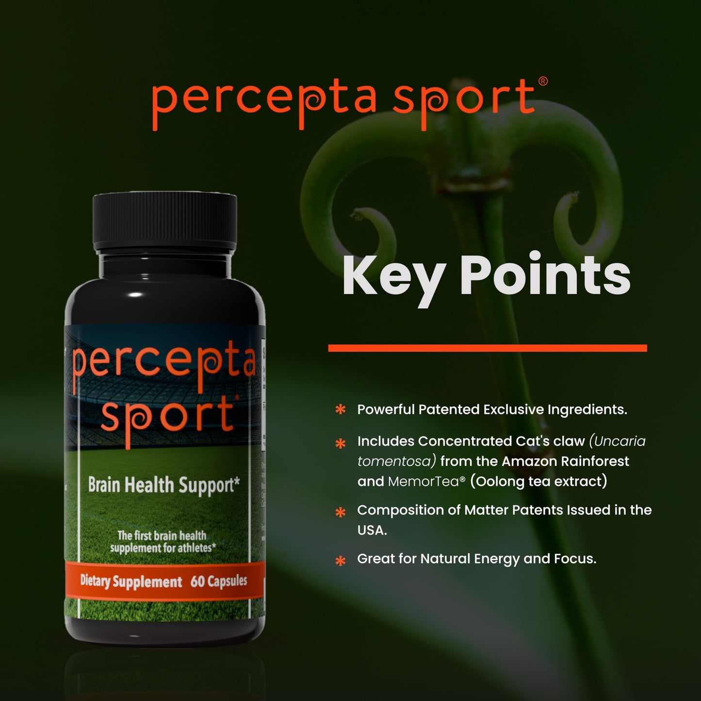 Percepta Sport Brain Supplement for Athletes Capsules 60 Count