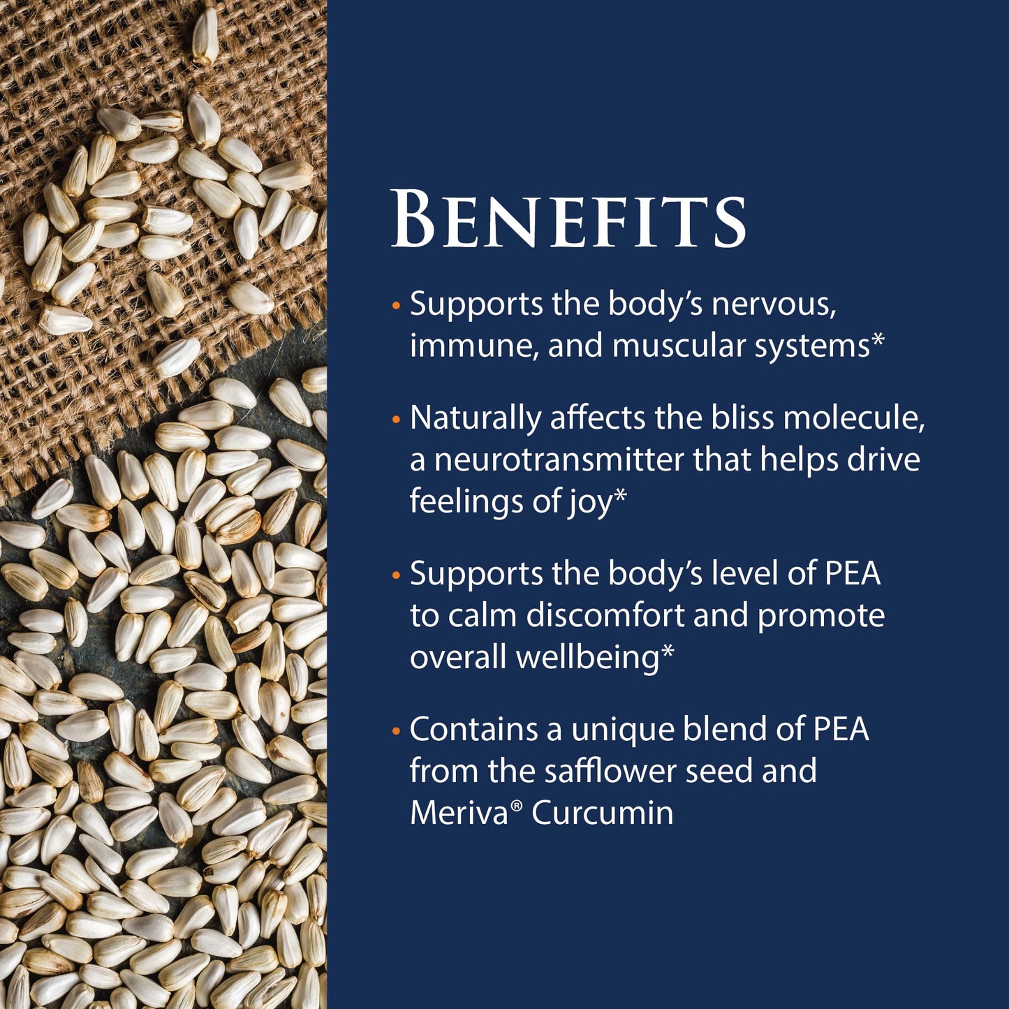Enzyme Science Myomend Recovery and Mobility Capsules, 60