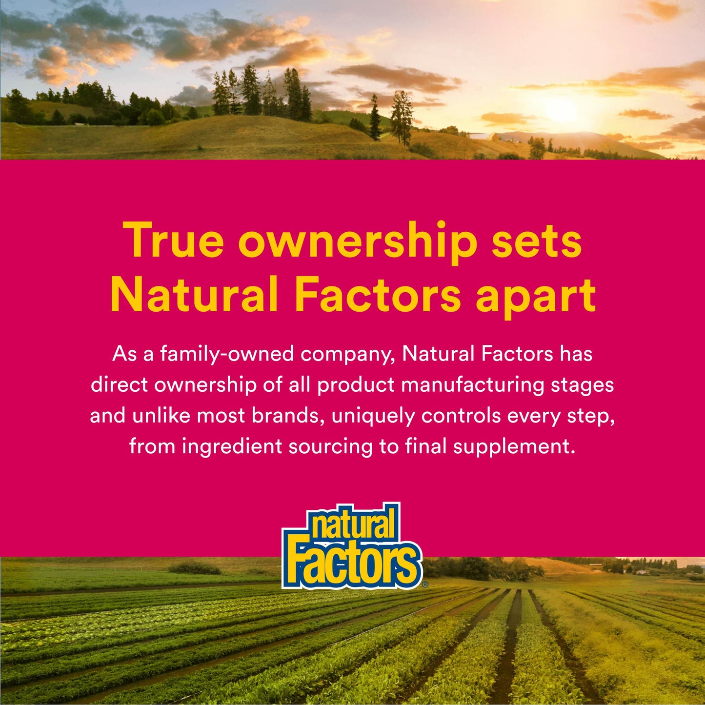 Natural Factors Magnesium Citrate Capsules 90 Count