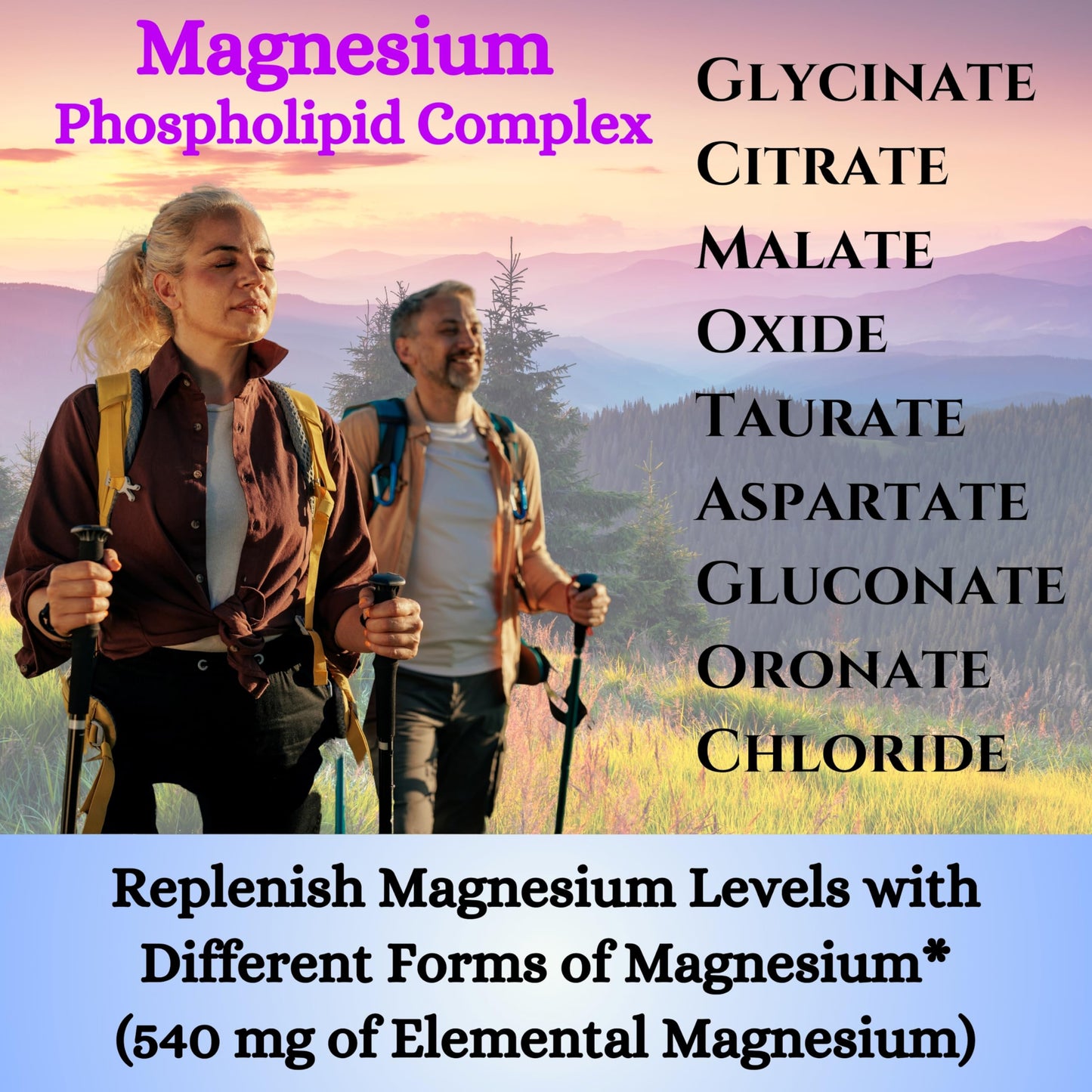 Nikoni Phospholipid Magnesium Complex 2500mg (9 Magnesium Salts, 5 Vitamins & 3 Minerals) Softgels 90