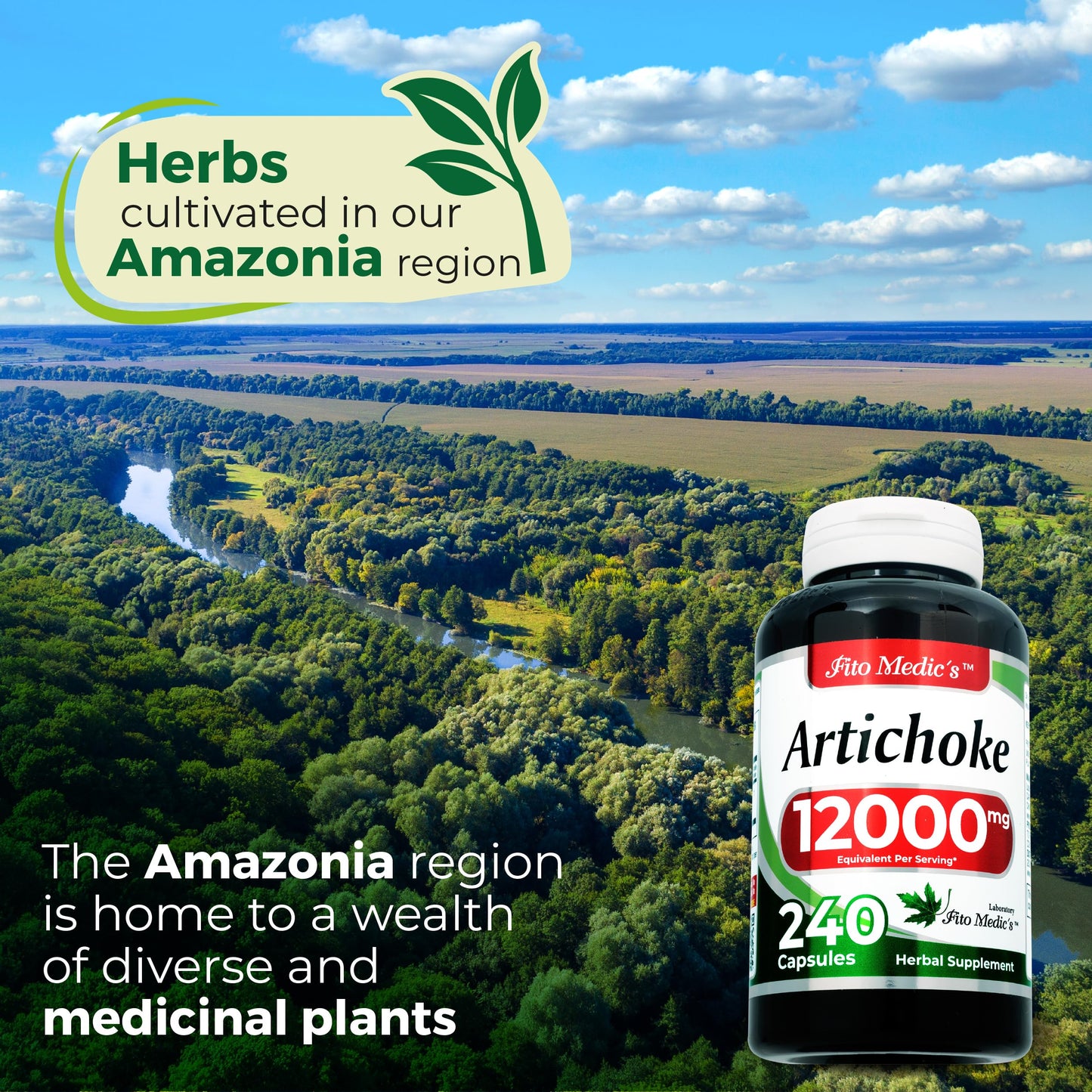 FITO MEDIC'S Artichoke Capsules 240 Count