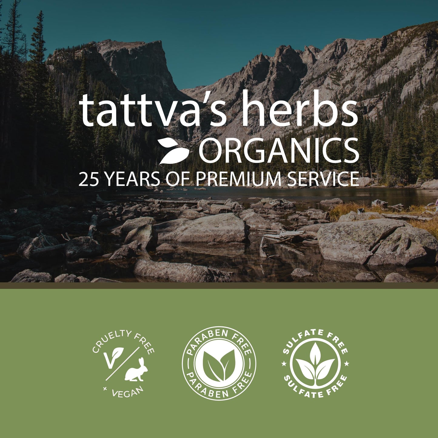 Tattva's Herbs Shilajit Capsules 240 Count
