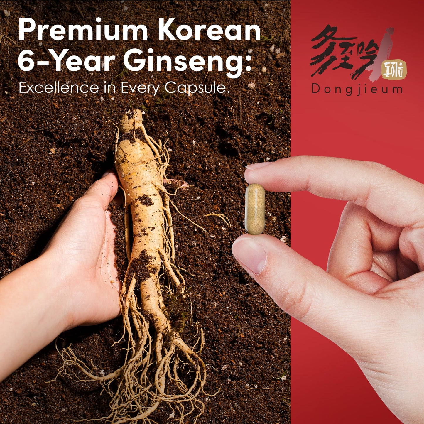 Dongjieum Korean Red Ginseng (6-Year Root) Enhanced Ginsenoside Capsule, 120 Count