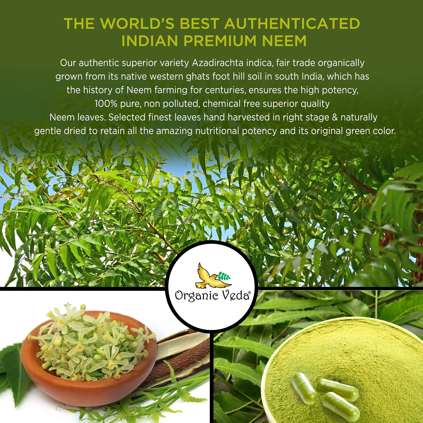 Organic Veda Neem Capsules with Triple Complex Neem Leaf Extract, Bark & Flower 60 Count