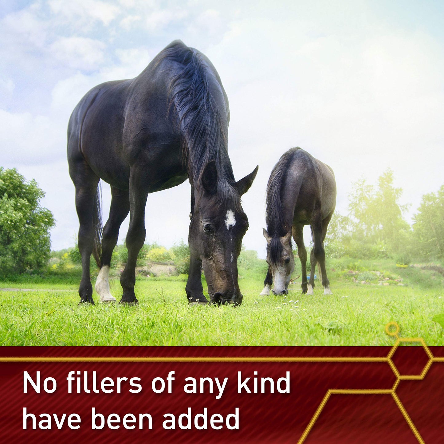 Vita Flex Pro Pure C Antioxidant Vitamin C Supplement for Horses, Powder, 2 lb, 128-Day Supply
