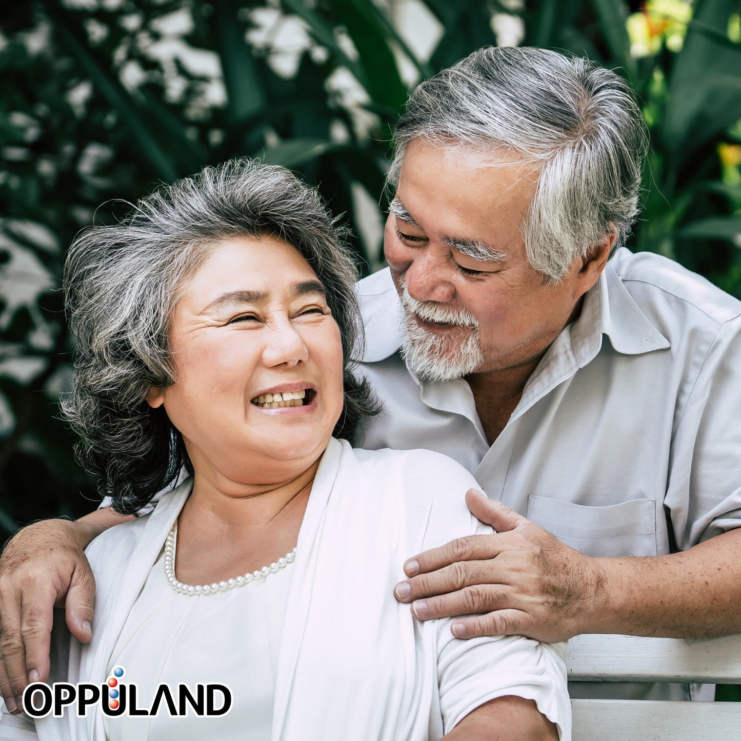 Oppuland Silver 8 Flex Joint Support Capsules, 120 Capsules