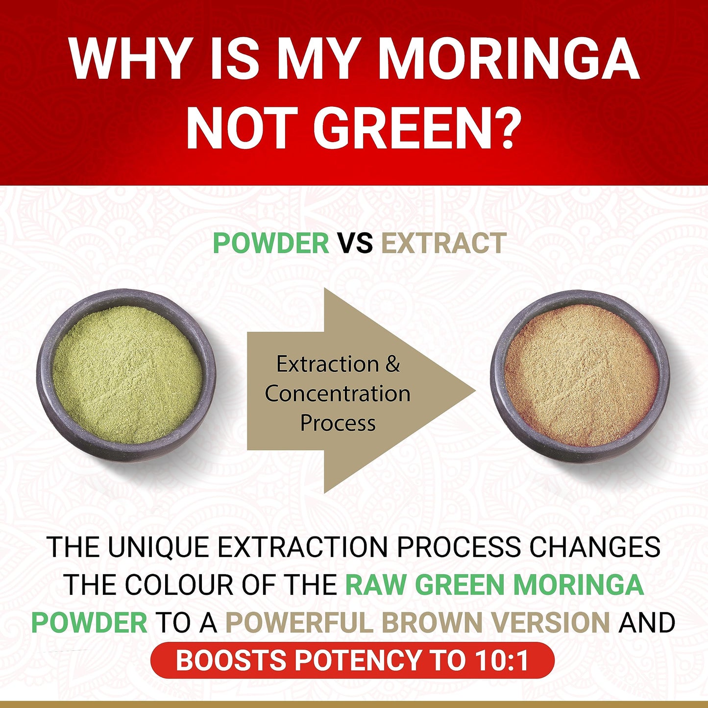 True Veda Moringa Capsules 60 Capsules