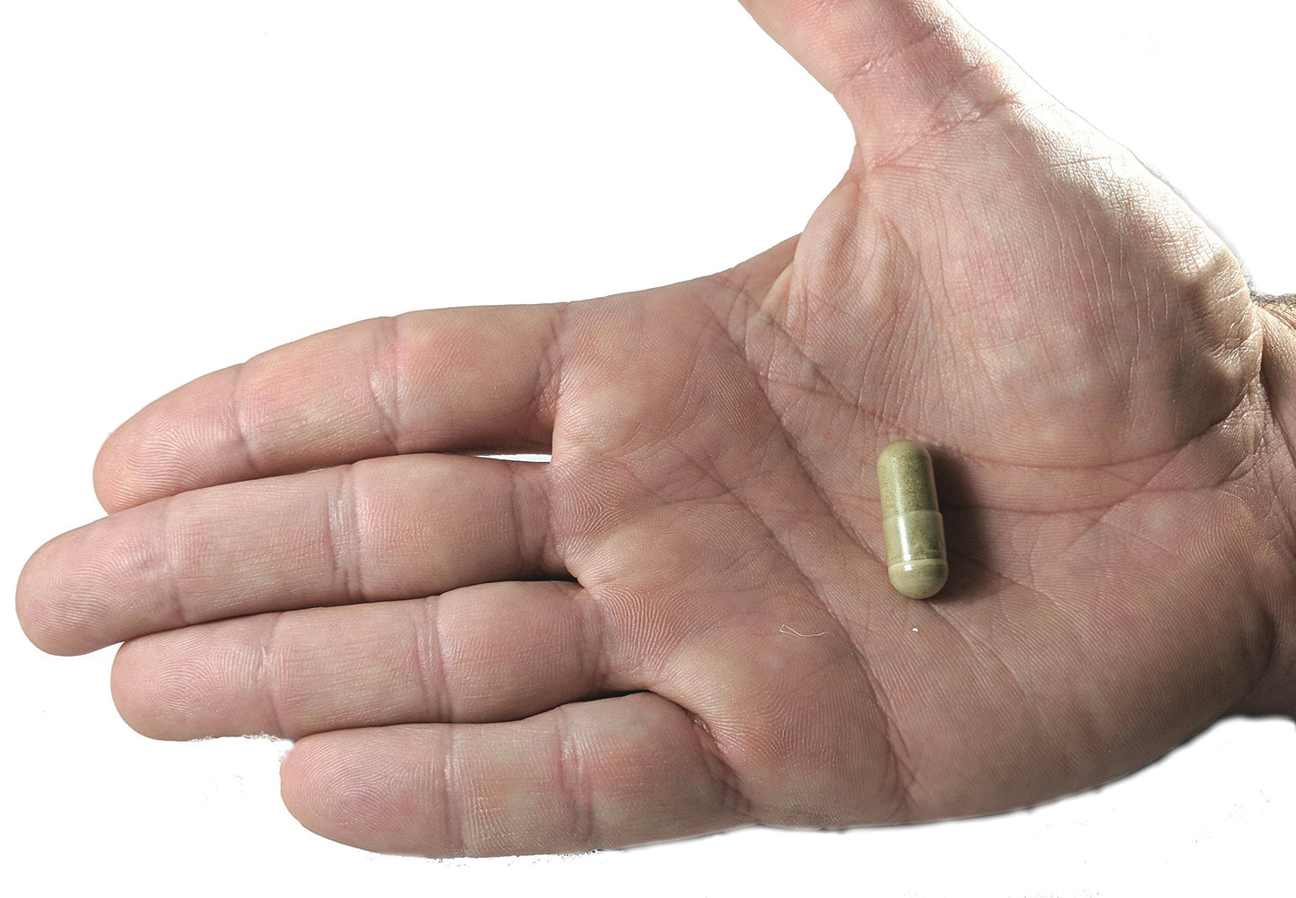 Vitalité Now! Olive Leaf Extract Capsules 120 Count