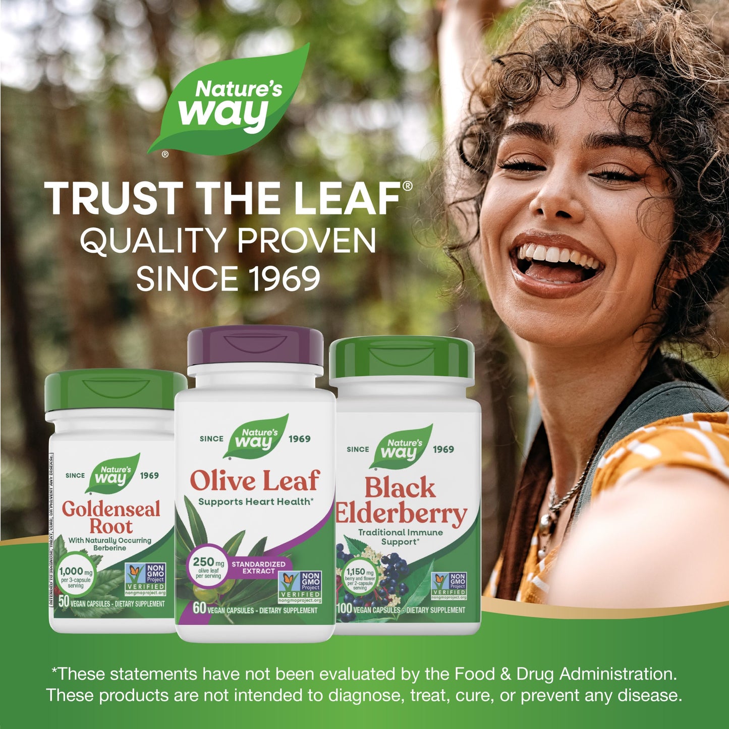 Nature's Way Olive Leaf Standardized Extract Capsule 60 Count