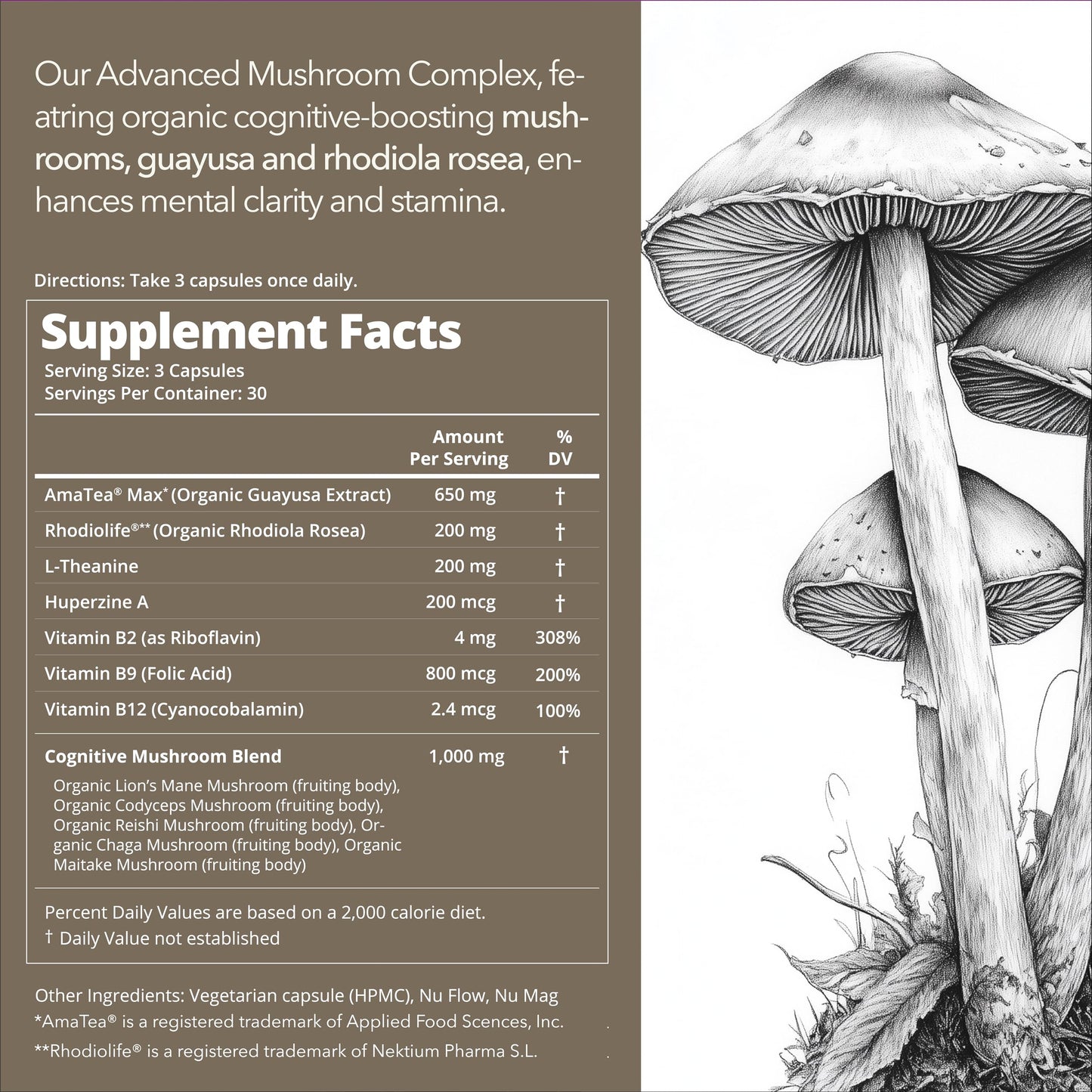Mobisyn Lion's Mane Adaptogenic Mushrooms Nootropics Brain Support Capsule 90 Count