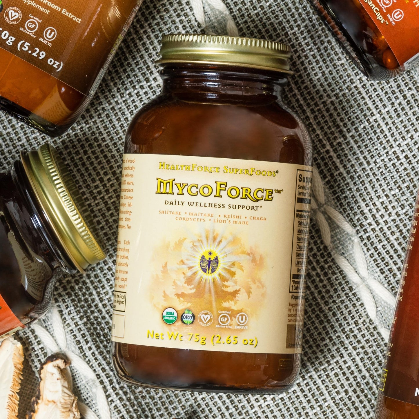 HEALTHFORCE SUPERFOODS MycoForce Powder 75 Gram
