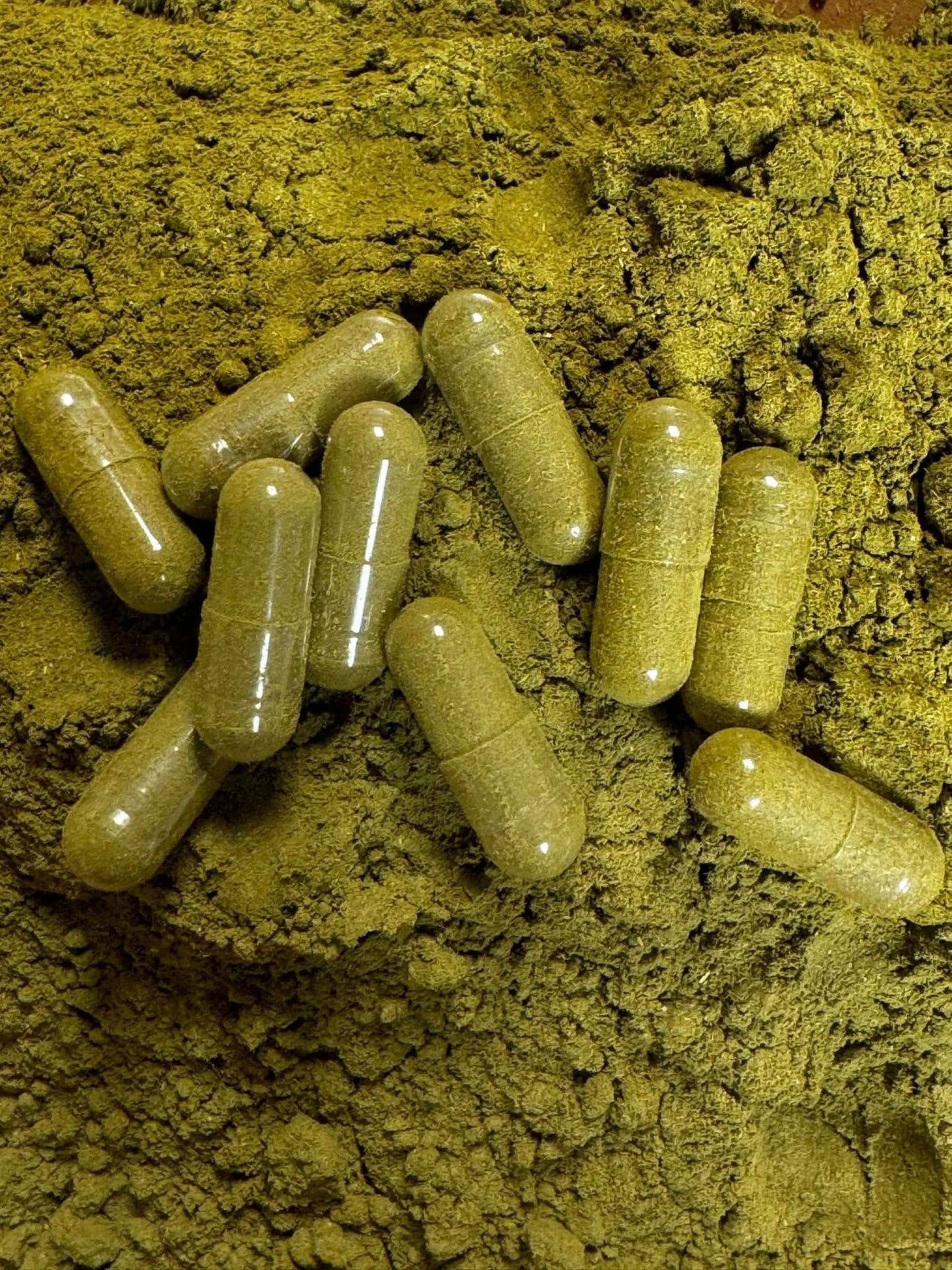 PAISLEY FARM & CRAFTS MADE FRESH FOR A HEALTHY YOU Soursop Graviola Leaf Powder Capsules 300 Count