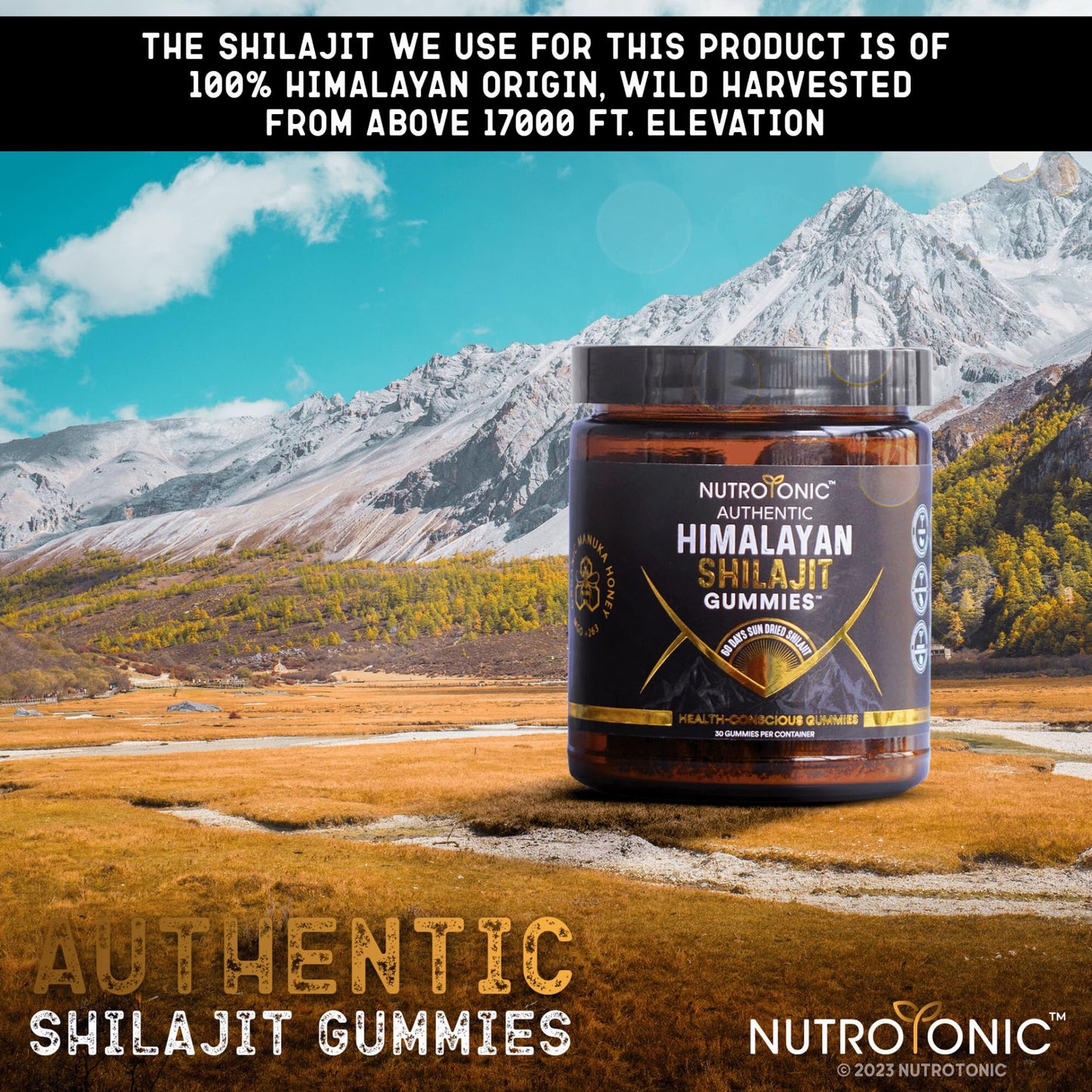 NutroTonic LLC Shilajit Gummies 30