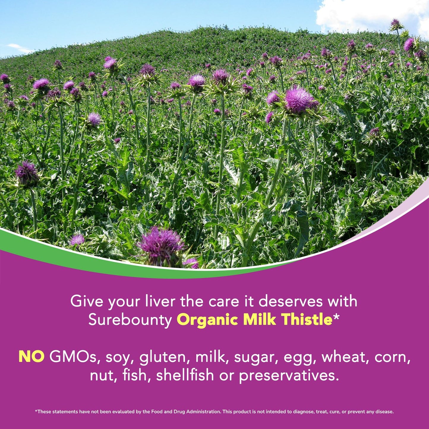 Surebounty Organic Milk Thistle Capsules, 90 Count
