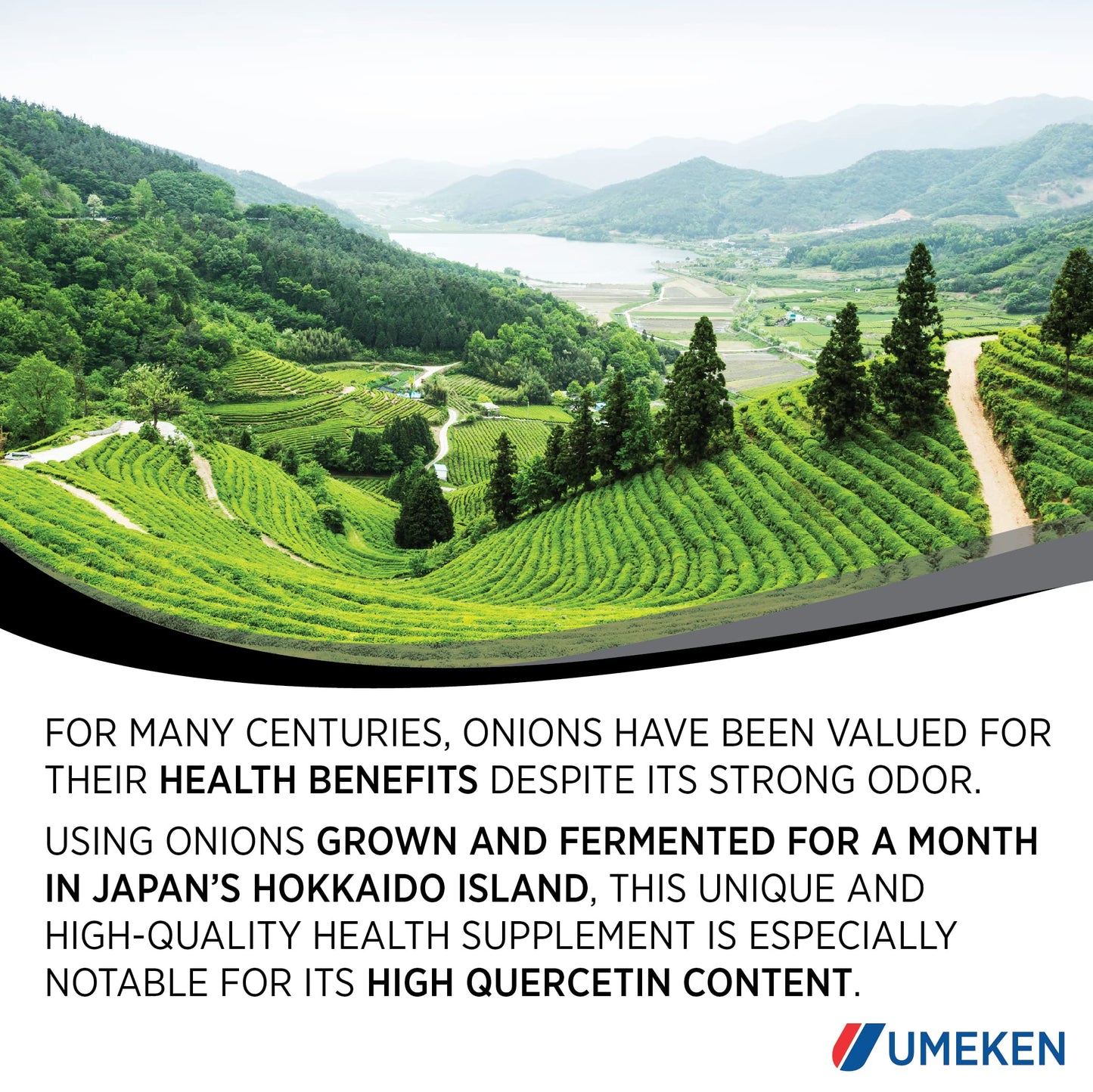 Umeken Black Onion Fermented Concentrate with Quercetin, Antioxidant, Dietary Supplement, 1333 Tablets