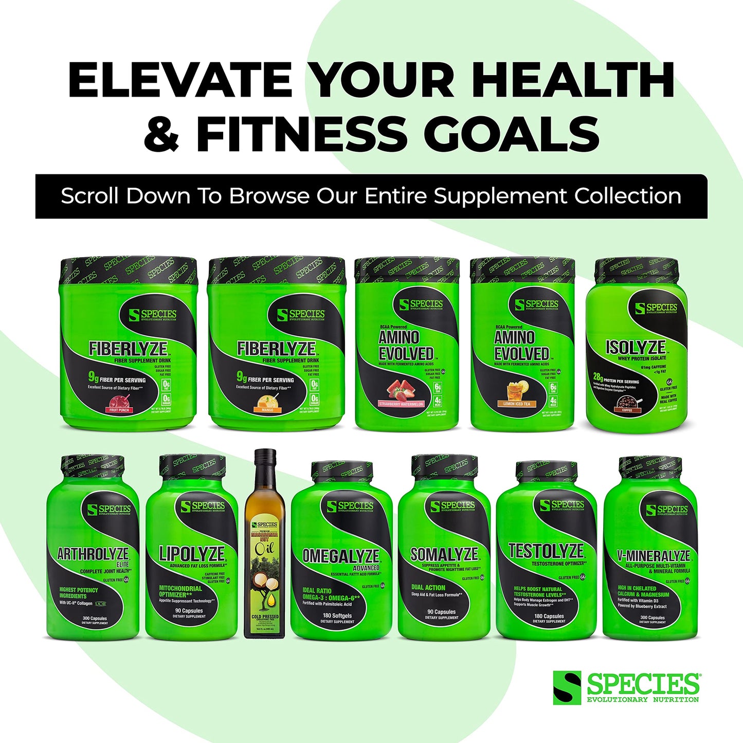 Species Nutrition Isolyze Whey Protein Powder, 100% Whey Isolate, Cinnamon Donut, No Sugar & Low Fat, 49.6 oz