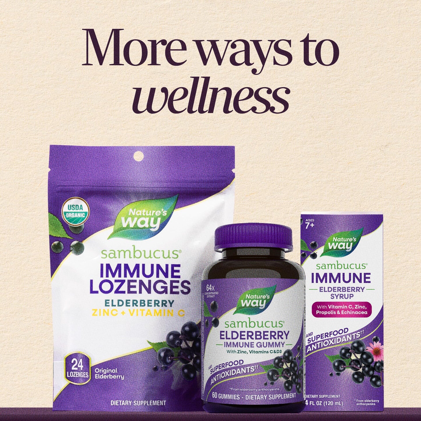 Nature's Way Sambucus Elderberry + Wildflower Honey Immune Gummy, 50 Count