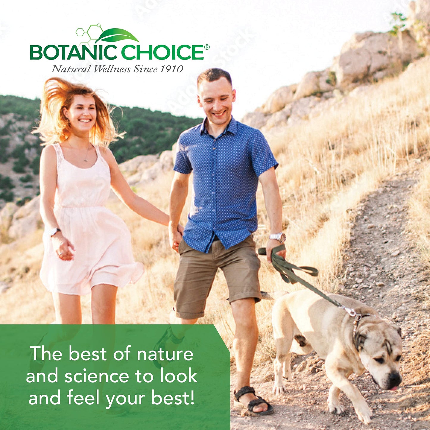 Botanic Choice Ultra Kidney Complex Capsules 60 Count