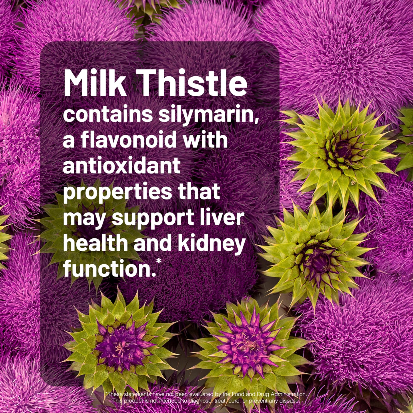 NatureWise Milk Thistle with Dandelion Root Capsule 180 Count