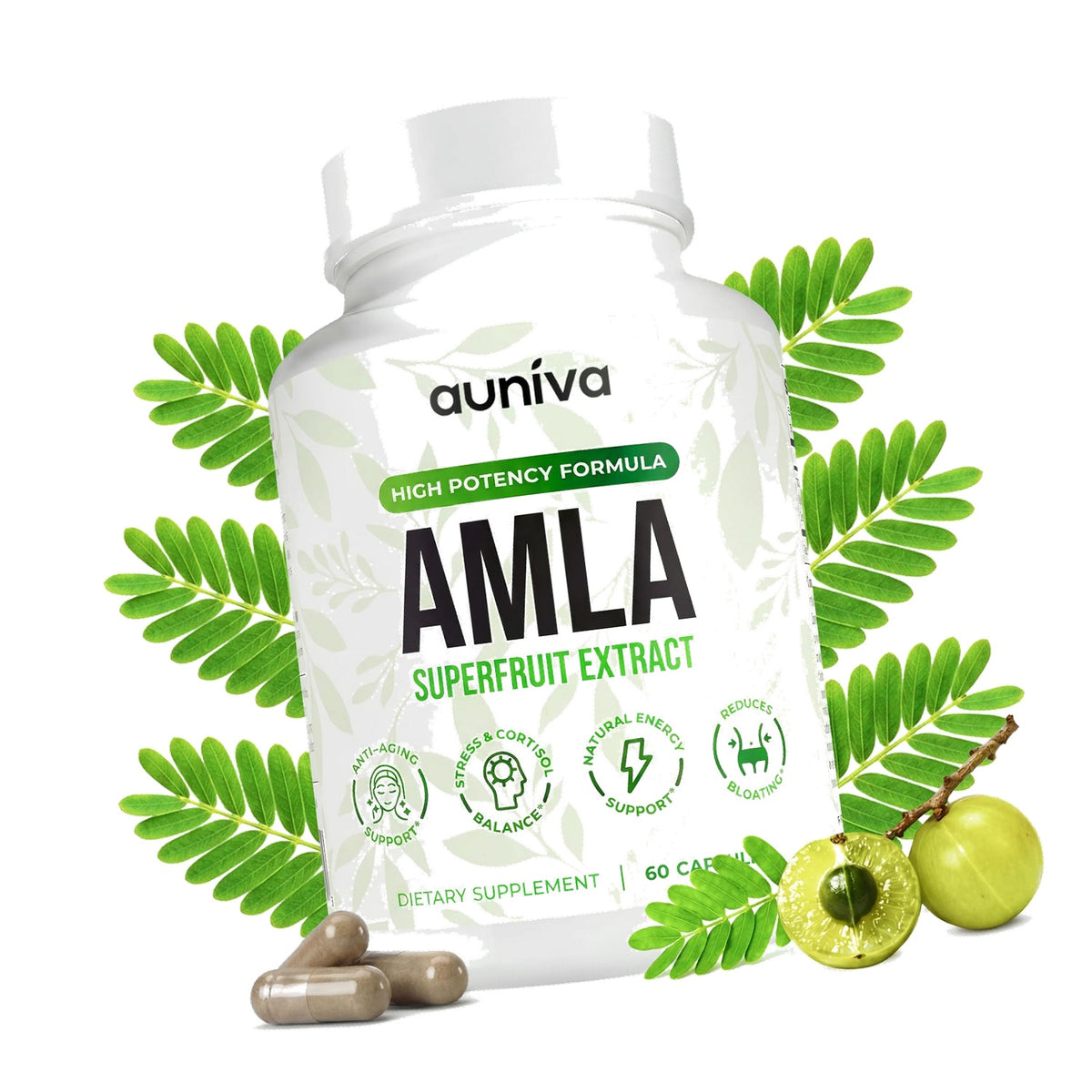 auniva Amla Capsules 1000mg – Indian Gooseberry Amla Fruit Supplement – Amla Powder for Antioxidant, Energy & Digestive Support – Ayurvedic Wellness Formula – 60 Capsules