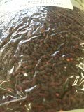Trustworthy Herbs Red Yeast Rice Powder, 16 oz