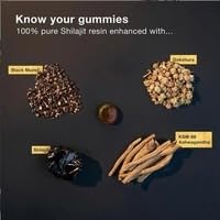 Buy Reliable LLC Shilajit Gold Gummies 60 Count