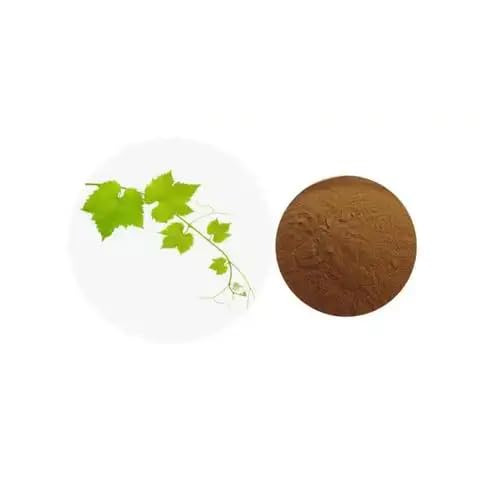 Bright sunlight Red Vine Leaf Extract 20:1 Extract Powder 18