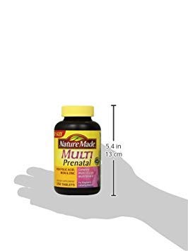 Nature Made Prenatal Multi Tablets 250