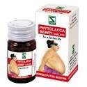 SCHWABE HOMOEPATHIC Phytolacca Berry Tablets 100