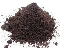 Prescribed For Life Schisandra 4:1 Natural Berry Extract Powder (Schisandra chinensis), 35.45 Ounce