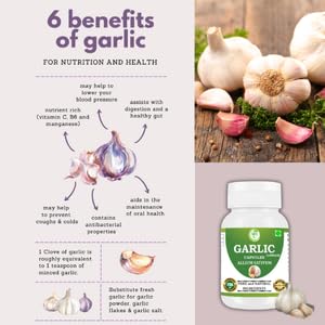 Generic Odorless Garlic 500 mg Allium sativum, 240 Capsules
