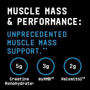 BEYOND RAW Dynamic Gainer Powder 7.04 Pound