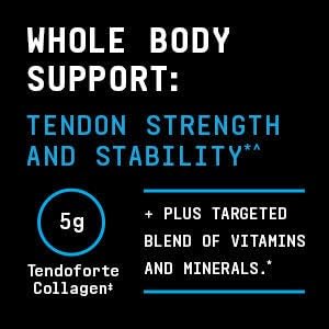 BEYOND RAW Dynamic Gainer Powder 7.04 Pound