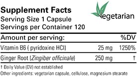 Karuna Ginger-B6 Capsules 120 Count