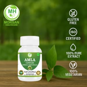 Morsan Healthcare Amla Capsules 500mg – Organic Indian Gooseberry Extract, 60 Count