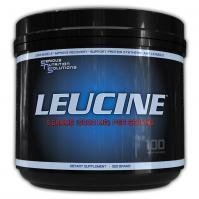 Serious Nutrition Solution Leucine Powder 17.637 oz