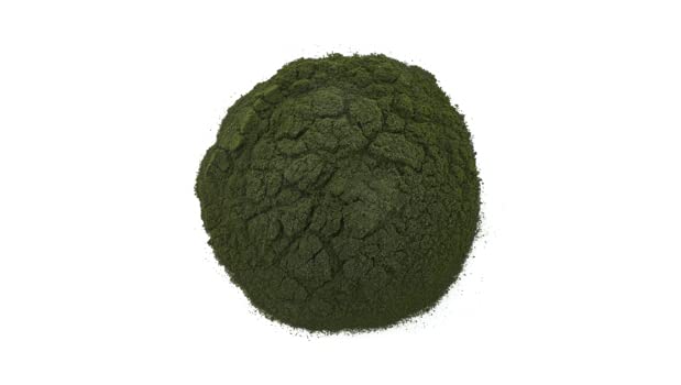 Yupik Chlorella Powder 8.8 oz