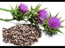 White Label Premium Herbs and Spices Milk Thistle Seed Powder, 16 oz