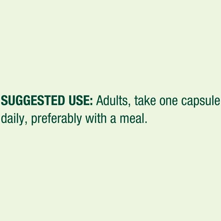 Generic Spring Ashwagandha 500mg Root Powder Capsule, 60 Count