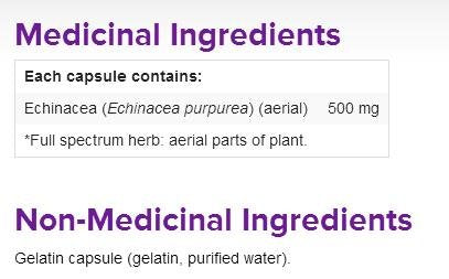 Webber Naturals Echinacea Herb Full Spectrum Herb 500 mg 60 Capsules