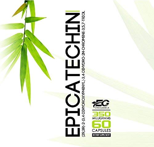 EVOGANICA Epicatechin 350mg Capsule 60 Capsules