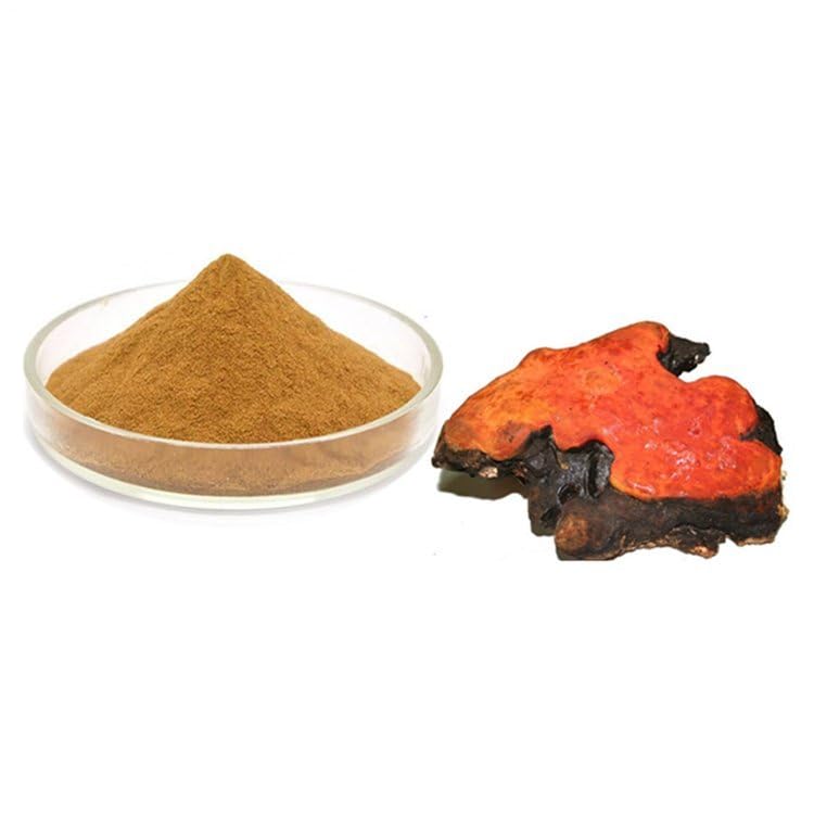 Bright sunlight Antrodia Cinnamomea Mushroom Extract 20:1 Powder 18 Ounces