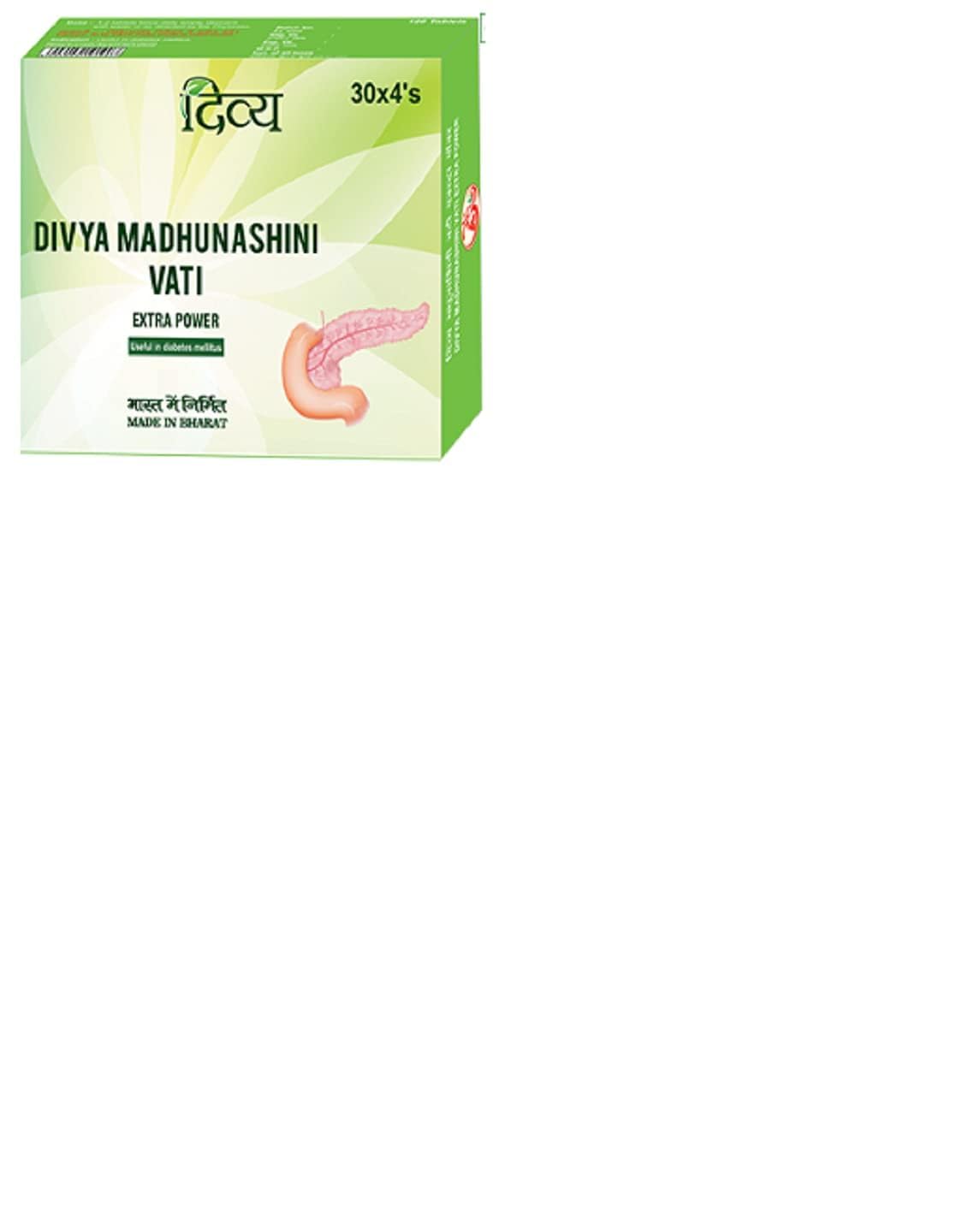 Patanjali Baba Ramdev Divya Madhunashini Vati Powder 240 Count