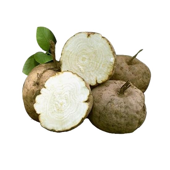 SMSHEALTHPRODUCTS.com Pueraria Mirifica White Extract Powder Capsule, 100 Count