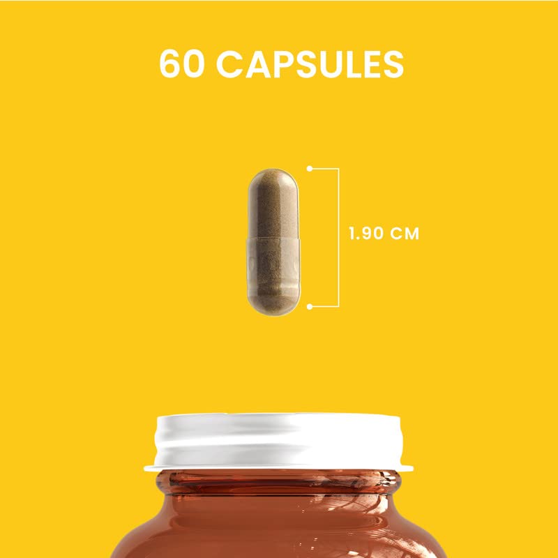 HERBALY Mood Mushroom Complete for Stress Capsules, 60 Capsules